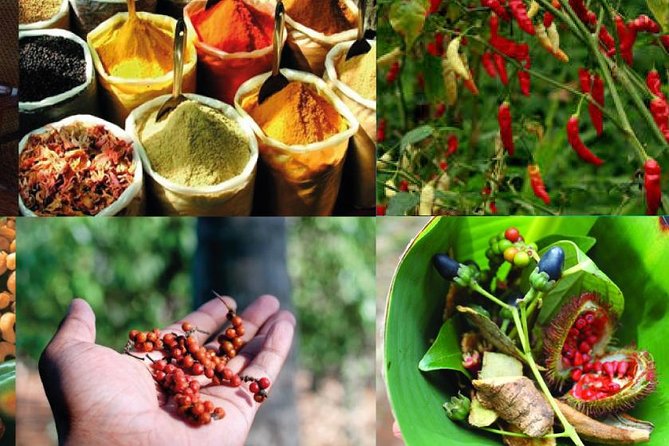 Standard Spice Tour & Sunset Cruise